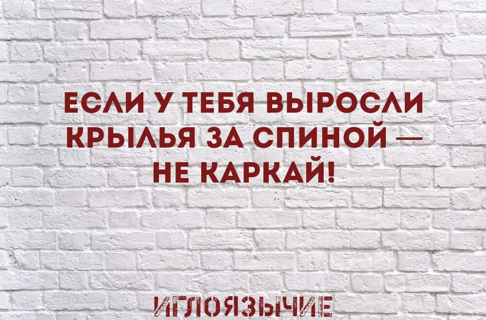 сгы н гткдиг