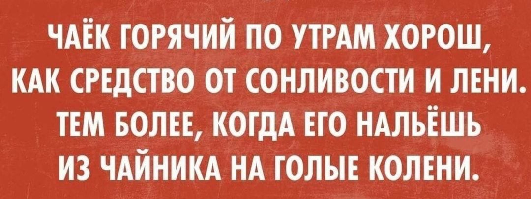 ЧАЕК ГОРЯЧИЙ ПО УГРАМ ХОРОШ КАК СРЕДСТВО ОТ СОНЛИВОСТИ И ЛЕНИ ТЕМ БОЛЕЕ КОГДА ЕГО НАЛЬЕШЬ ИЗ ЧАЙНИКА НА ГОЛЫЕ КОЛЕНИ