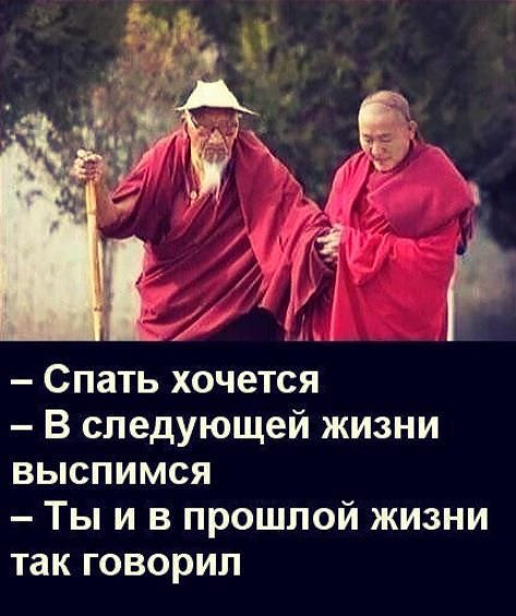 Спать хочется В следующей жизни выспимся Ты и в прошлой жизни так говорил