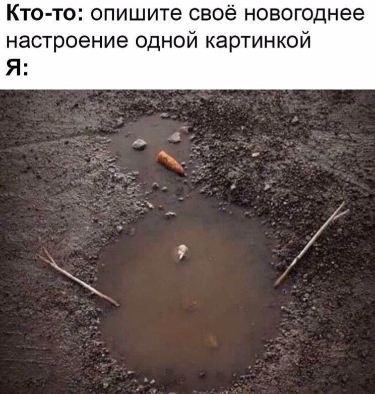 Кто то опишите своё новогоднее настроение одной картинкой Я