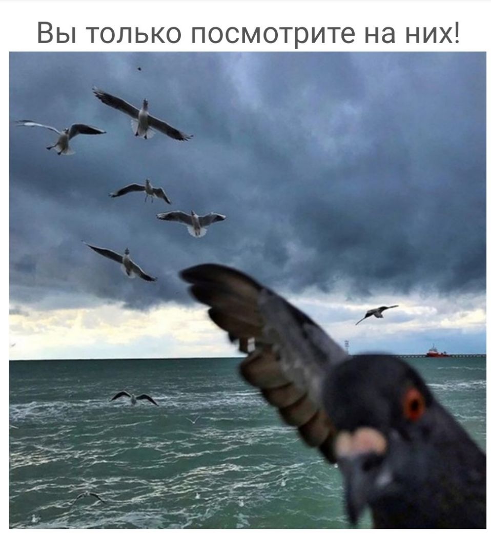 ВЫ ТОЛЬКО ПОСМОТРИТе НЭ НИХ