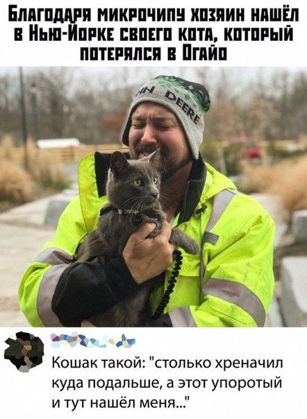 Бппгпдцри микппчипн ипзпии ипшЁп Ниш Инги иппп кпти_ кптпиыи пптииппи Пгпип Кошак такой столько хреначип куда подальше а этот упоротый и тут нашёл меня