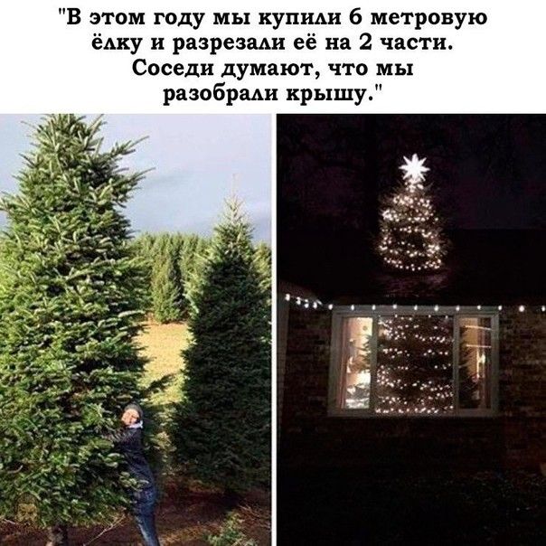 В этом году мы купихи 6 метровую ёлку и разрезали её на 2 части Соседи думают что мы разобрми крышу