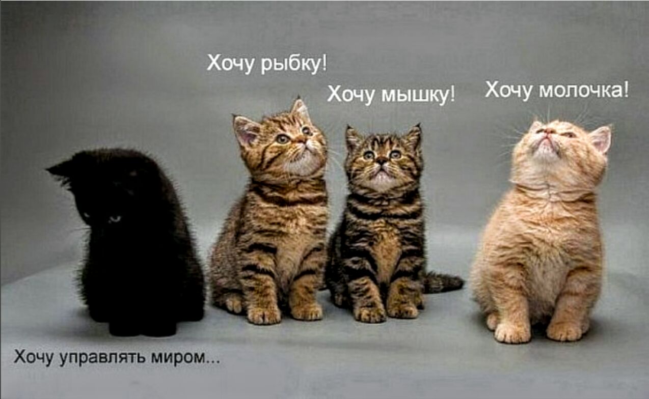 Хочу управлять миром