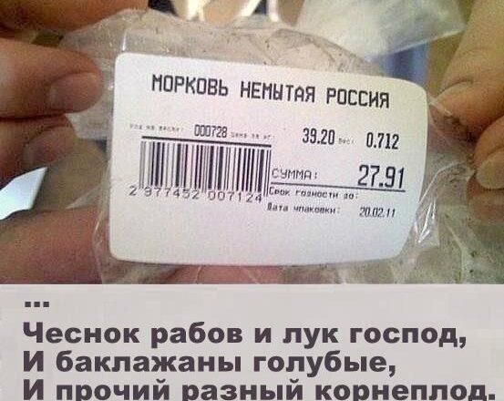 МОРКОВЬ НЕИНТпЯ РОССИЯ ЮПЕБ линии Чеснок рабов и лук господ И баклажаны голубые И прочий разный корнеплод