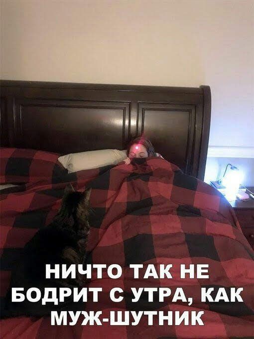 НИЧТО ТАК НЕ БОДРИТ с УТРА КАК МУЖ ШУТНИК
