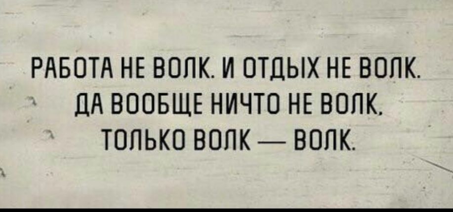 Работа не волк. Работатне волк...только волк волк. Наблюдал три дня за муравейником. Работа не волк только волк.