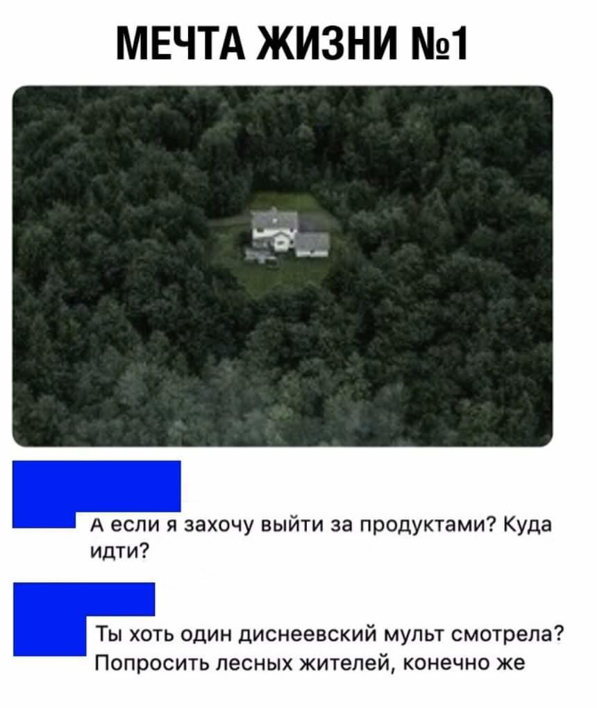 МЕЧТА ЖИЗНИ 1 А если я захочу выйти за продуктами Куда идти Ты хоть один диснеевский мульт смотрела Попросить лесных жителей конечно же