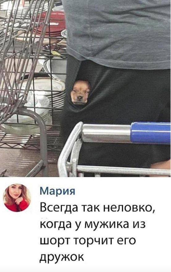 ___ М ні А і А Всегда так неловко когда у мужика из шорт торчит его дружок
