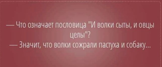И СЫТЫ И ОВЦЫ и собаку