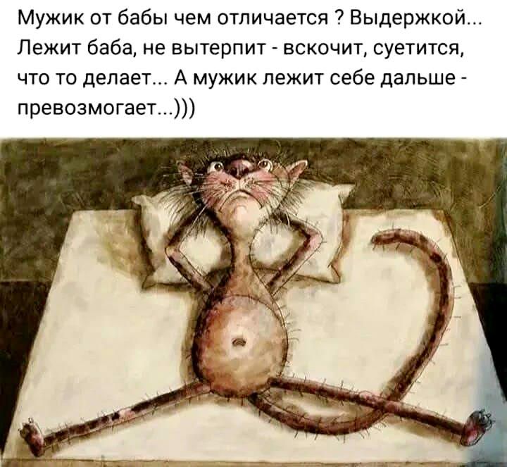 Мужик от бабы чем отличается Выдержкой Лежит баба не вытерпит вскочит суетится что то делает А мужик лежит себе дальше превозмогает
