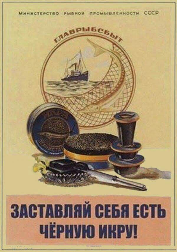 _ чяспвспд Рыьисм прочтипяиоти СС ЗАВТМШПЙ СЕБЯ Есть ЧЁРШШ А _ _ _