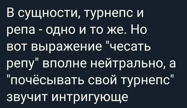 В сущности турнепс и репа одно и то же Но вот выражение чесать репу вполне нейтрально а почёсывать свой турнепс звучит интригующе