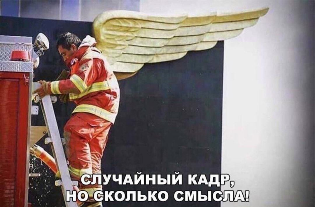 ЁУЧАИНЫИ КАДР ыНО КОЛЬКО СМЫСЛА