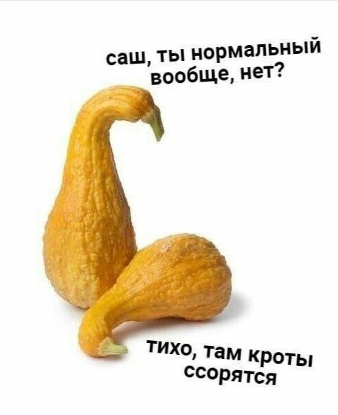 саш ты нормальный вообще нет