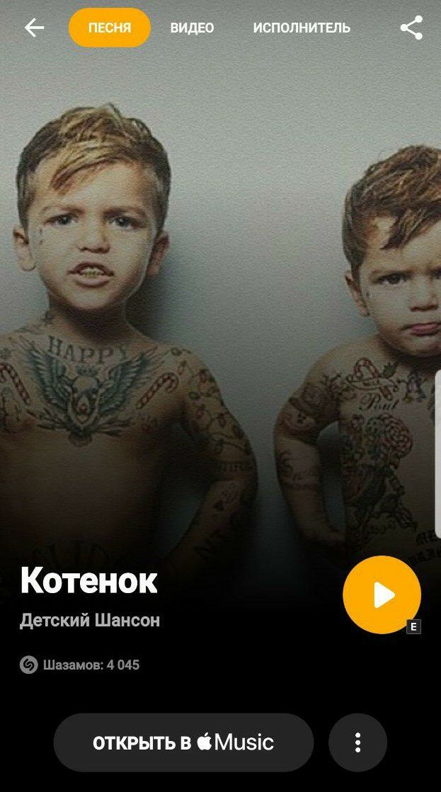 Котенок детский Шансон Шазамов 4 045 открыть в Мизіс