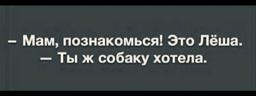 Мам познакомься Это Лёша Ты ж собаку хотела