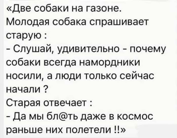 Две собаки на газоне Молодая собака спрашивает старую Слушай удивительно почему собаки всегда намордники носили а люди только сейчас начали Старая отвечает Да мы блть даже в космос раньше них полетели