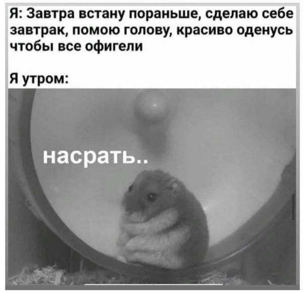 Я Завтра встану пораньше сделаю себе завтрак помою голову красиво оденусь чтобы все офигели Я утром насрать