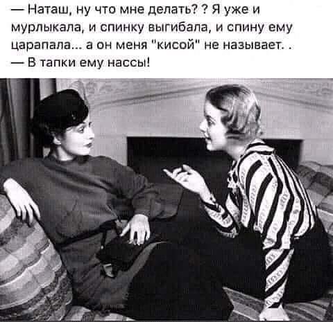 Наташ ну что мне делать Я уже и мурлыкала и спинку аыгибапа и спину ему царапина а он меня кисой не называеп В тапки ему нассы