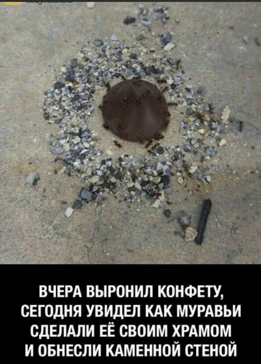 ВЧЕРА ВЫРОНИЛ КОНФЕТУ СЕГОДНЯ УВИДЕЛ КАК МУРАВЬИ СДЕЛАЛИ ЕЁ СВОИМ ХРАМОМ И ОБНЕСЛИ КАМЕННОИ СТЕНОИ