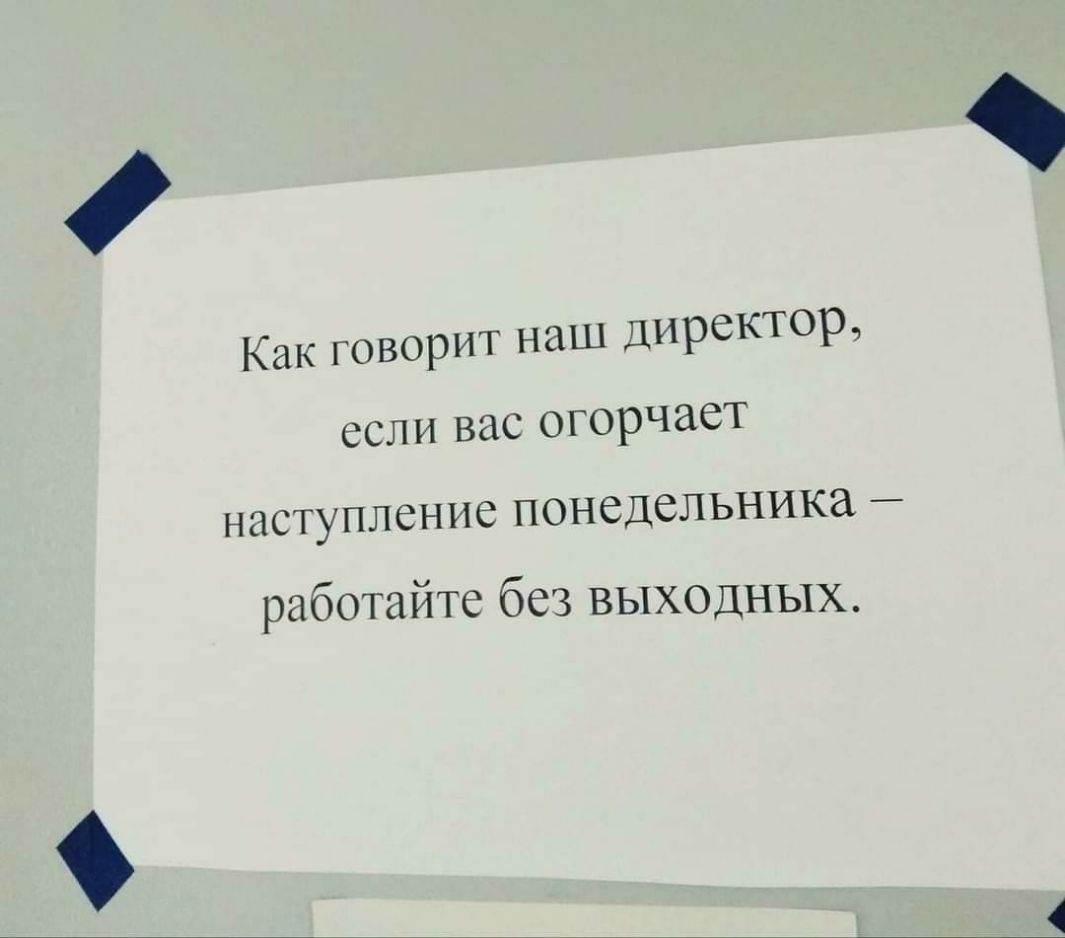 Как говорит наш директор если вас огорчает наступление понедельника работайте без выходных