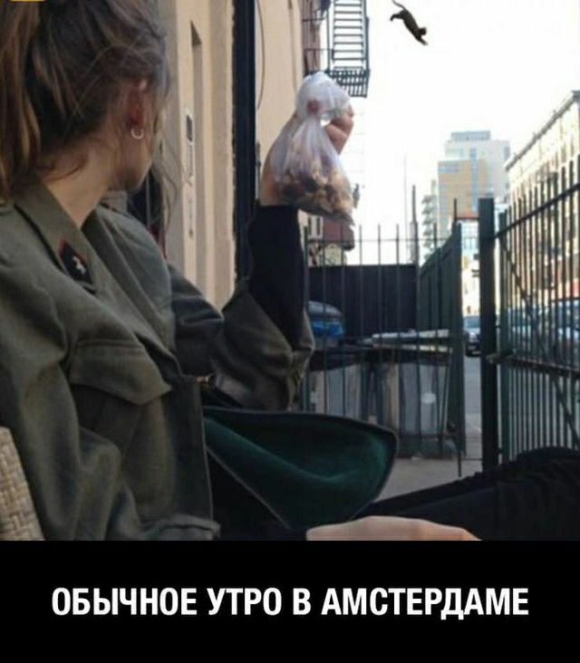 ні Пі ОБЫЧНОЕ УТРО В АМСТЕРДАМЕ
