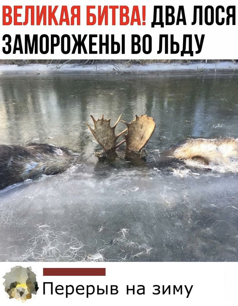 ВЕЛИКАЯ БИТВА дВА ЛППЯ ЭМПЖВАПЕНЫП ЬДУ