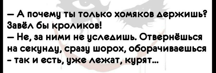А почему ты томко хомяков держишь ЗавёА бы кроАиков Но за ними не уСАеАишь Отвернёшься на секунду сразу шорох оборачиваошься так и есть уже Аежат курят