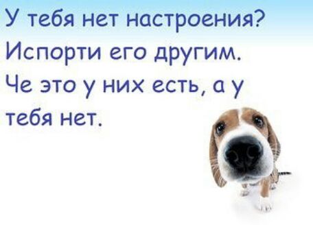 те янет наСтроеНИя Испорти его другим Че это у них есть а у тебя нет