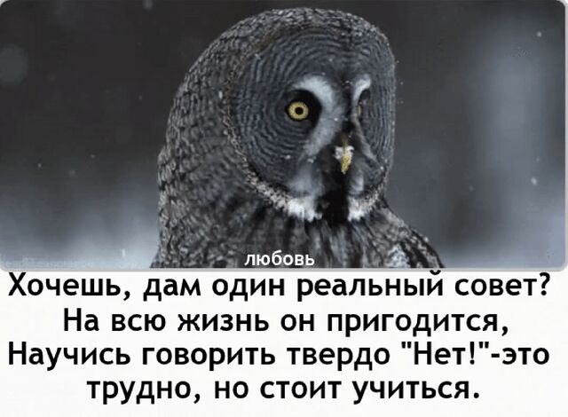 Хочешь дам один реальный совет На всю жизнь он пригодится Научись говорить твердо Нетэто трудно но стоит учиться