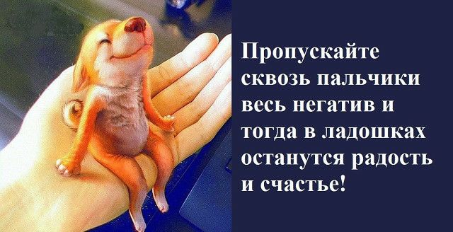 Пропускайте сквозь пальчики весь негатив и тогда в ладошках _ останутся радость и счастье
