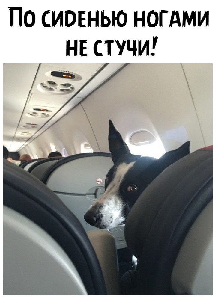 По сиовнью ногдми НЕ стучи
