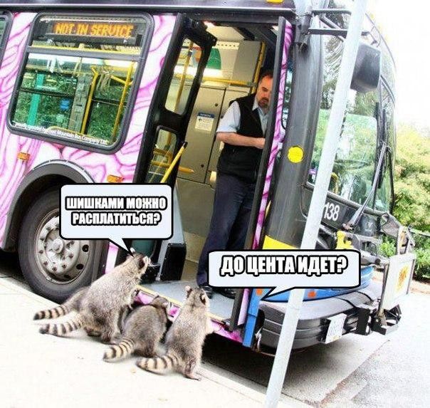 О
