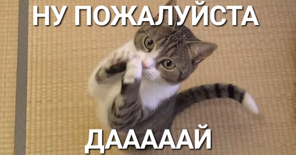ну ПОЖАЛУЙСТА