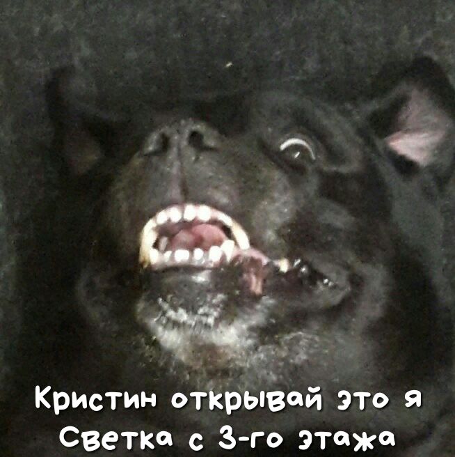 А і _ Кристин открывай это я Светке с 3 го этажа