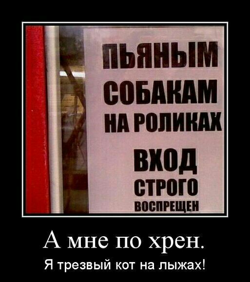ШШд етгою ВВБПРЕЩШ А мне по хрен Я трезвый кот на лыжах