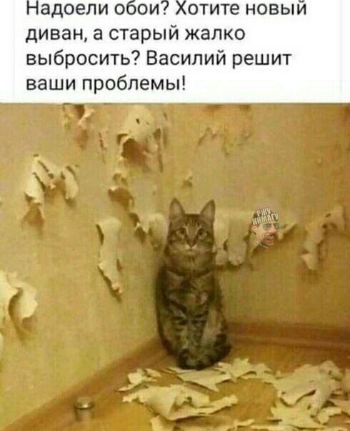 адоели о ои отите новыи диван а старый жалко выбросить Василий решит ваши проблемы