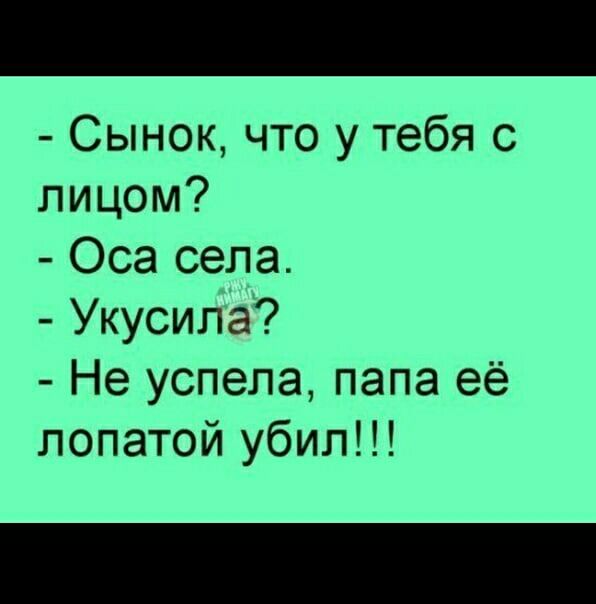 Сынок что у тебя с лицом Оса села Укусила Не успела папа её лопатой убил