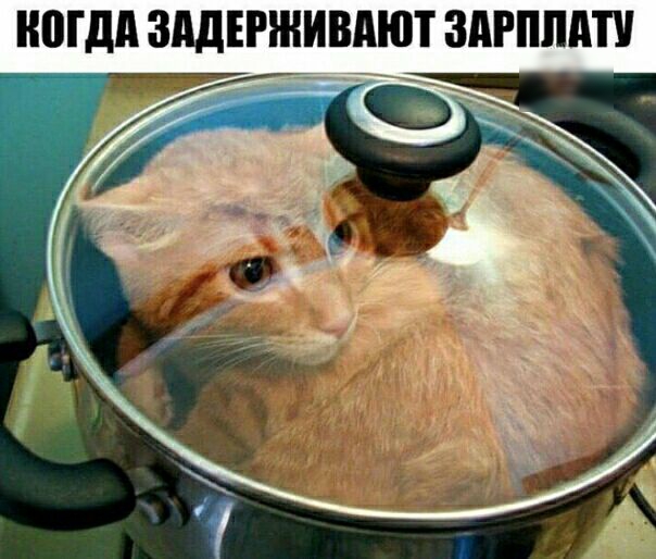 МДП ЗАДЕРЖИВПЮТ ЗдРПЛдП ч