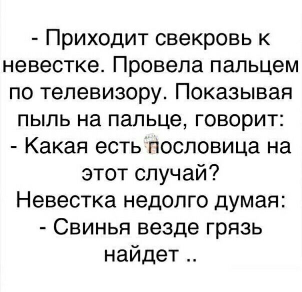 Приходит свекровь к невестке Провела пальцем по телевизору Показывая пыль на пальце говорит Какая есть пословица на этот случай Невестка недолго думая Свинья везде грязь найдет