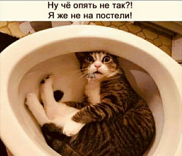 Ну чё опять не так Я же не на постели т __