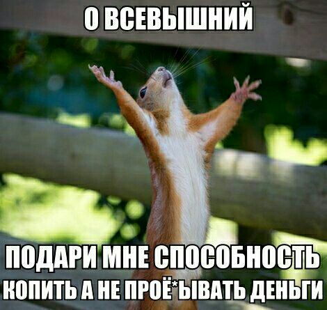 поддгиьмні шшеонноёд ШШИТЬ 11 ПРПЁЁЫВКЩДШЬГИ