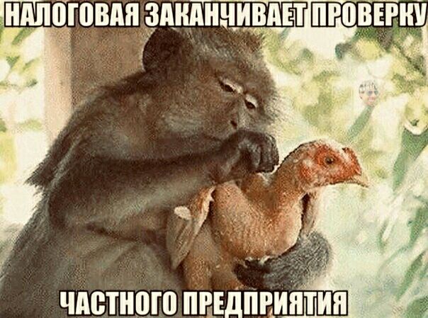 ЧПВТНШП ПЩДПЕИПТИП