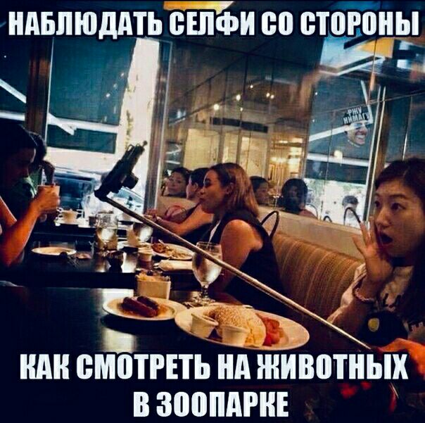 НАБЛЮДАТЬ ВШФИ 80 ВТЩЮНЫ Т Е Ш ШБППЬ Нд животных В ЗООПАРКЕ