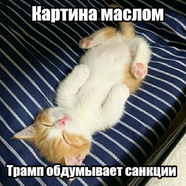картина маслом ЁЁ жЁч 111 умывает сани ИИ ц