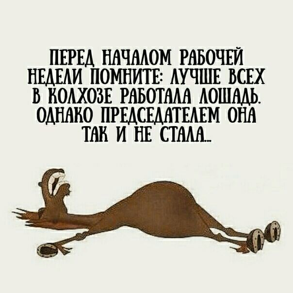 ПЕРЕД НАЧААОМ РАБОЧЕИ НШАИ ПОМНИТБ АУЧШЕ ВСЕХ В БОАХОЗЕ РАБОТАМ АОШМЬ ОДНАКО ПРЕДСЕМТЕАЕМ ОНА ТАН И НЕ СТАШ