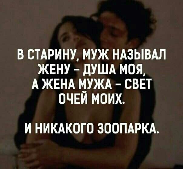 В СТАРИНУ МУЖ НАЗЫВАЛ ЖЕНУ ДУША МОЯ А ЖЕНА МУЖА СВЕТ ОЧЕИ МОИХ И НИКАКОГО ЗООПАРКА