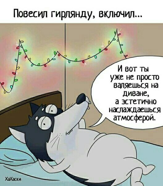 Повесил гирлянду включил И вот ты уже не просто валяешься на диване а эстетично наслаждаешься атмосферой