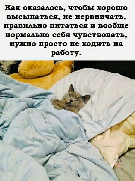 Как оказшюсь чтобы хорошо высыпаться не нервничать нравицца питаться вообще нормшно себя чувствовать нужно просто не ходить на работу